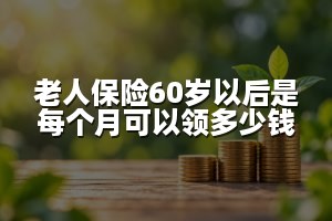 老人保险60岁以后是每个月可以领多少钱