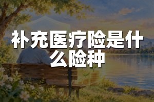 补充医疗险是什么险种