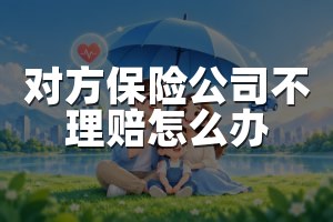 对方保险公司不理赔怎么办