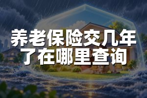 养老保险交几年了在哪里查询