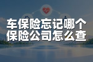 车保险忘记哪个保险公司怎么查