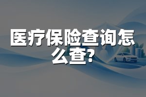 医疗保险查询怎么查?