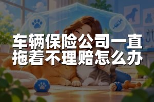 车辆保险公司一直拖着不理赔怎么办