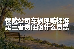 保险公司车祸理赔标准第三者责任险什么意思