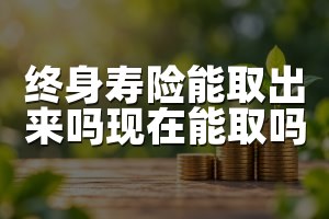 终身寿险能取出来吗现在能取吗