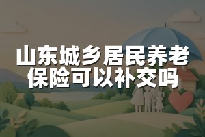 山东城乡居民养老保险可以补交吗