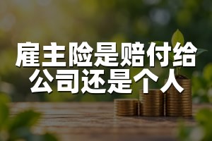 雇主险是赔付给公司还是个人