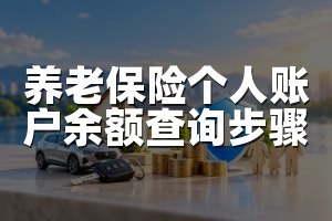 养老保险个人账户余额查询步骤