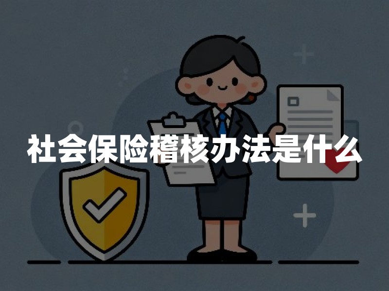 社会保险稽核办法是什么：对象、流程、整改与2026年合规要点