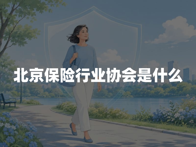 北京保险行业协会是什么？保险消费者查询、投诉与理赔材料指引