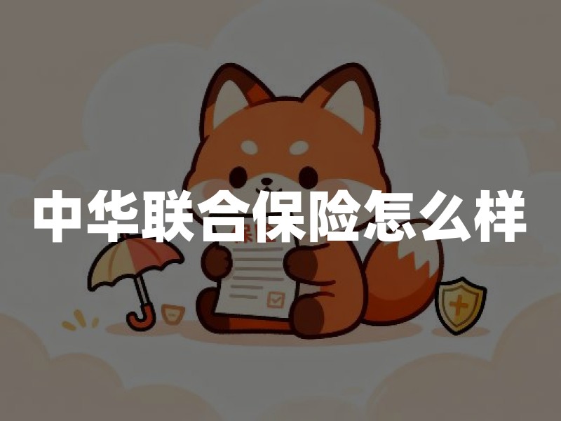 中华联合保险怎么样：先看牌照与偿付能力，再核条款、等待期和续保