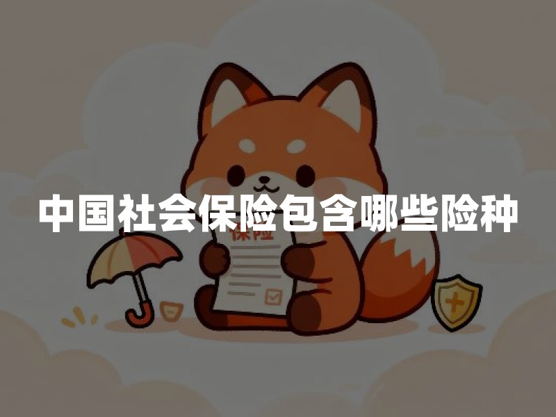 中国社会保险包含哪些险种？缴费与待遇详解